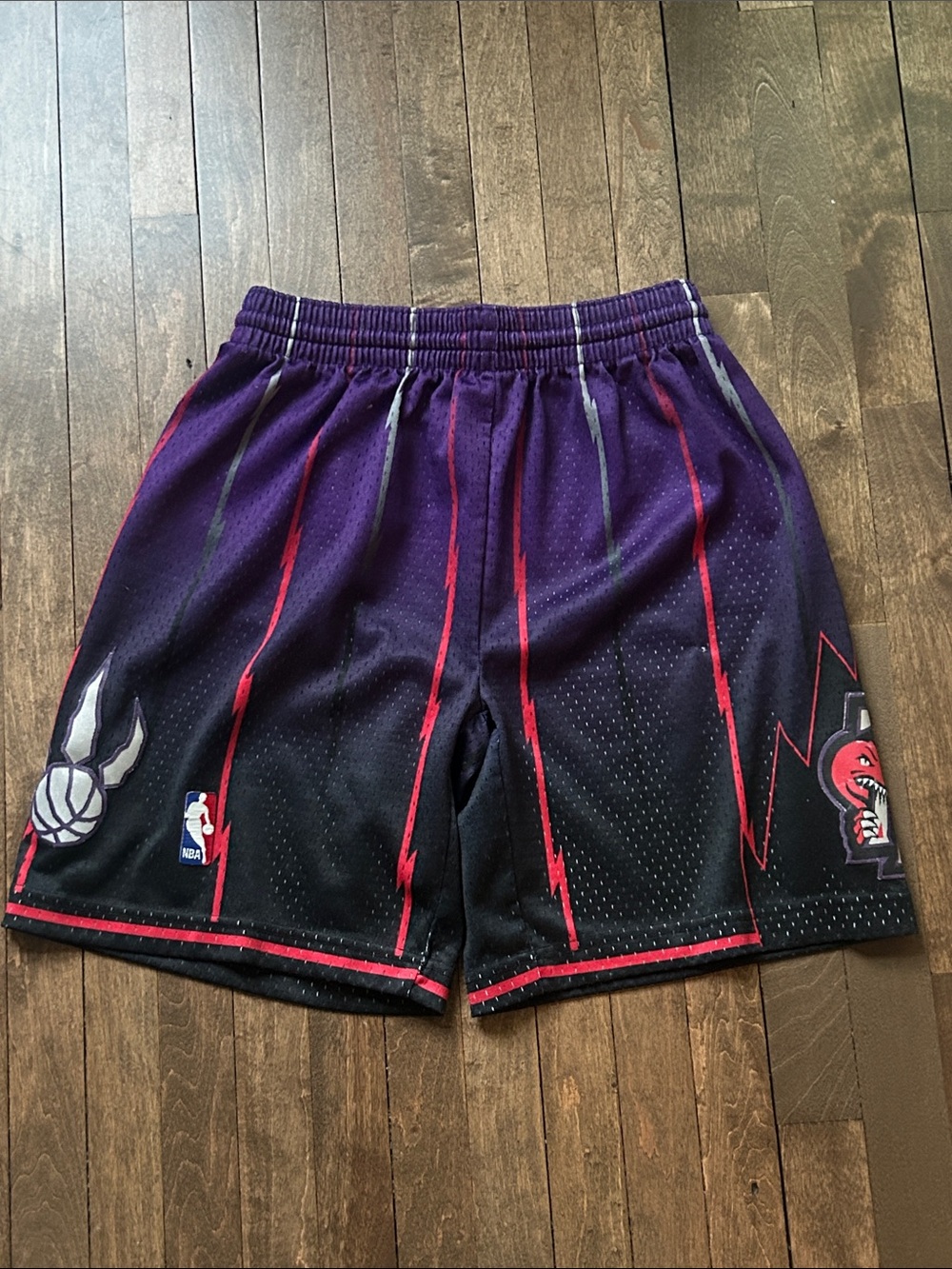NBA Raptors  Purple and Black Basketball Shorts